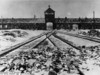Polen, KZ Auschwitz.

Eingang nach der Befreiung, im Vordergrund von den Wachmannschaften zurückgelassene Ausrüstungsgegenstände

Bundesarchiv Bild 175-04413