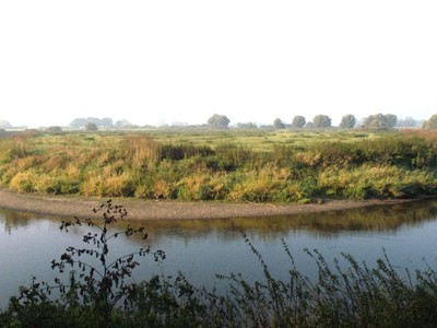 Uferlandschaft: Der Fluss Leine bei Bordenau