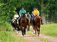 Reiter im Pferdeland Hannover