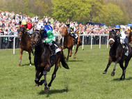 Pferde und Jockeys