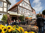 Blick in Springes Innenstadt