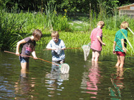 Kinder beim Keschern in der Waldstation Eilenriede