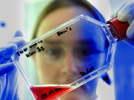 A woman is looking at the contents of a small bottle.