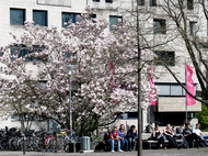 Menschen sitzen auf einer Bank, neben der ein großer Baum steht. 