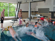 Schwimmer springen mit einem Kopfsprung vom Beckenrand