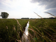 Landschaft in Laatzen