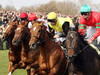 Pferde und Jockeys