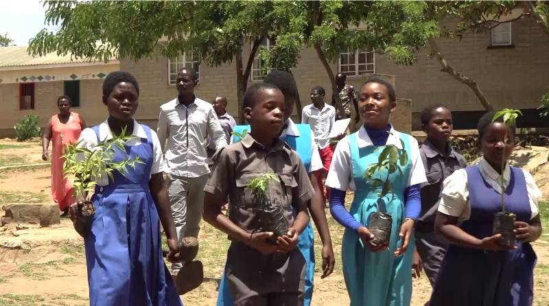 Schülerinnen und Schüler mit Baumsetzlingen auf dem Gelände einer Primary School in Blantyre.
