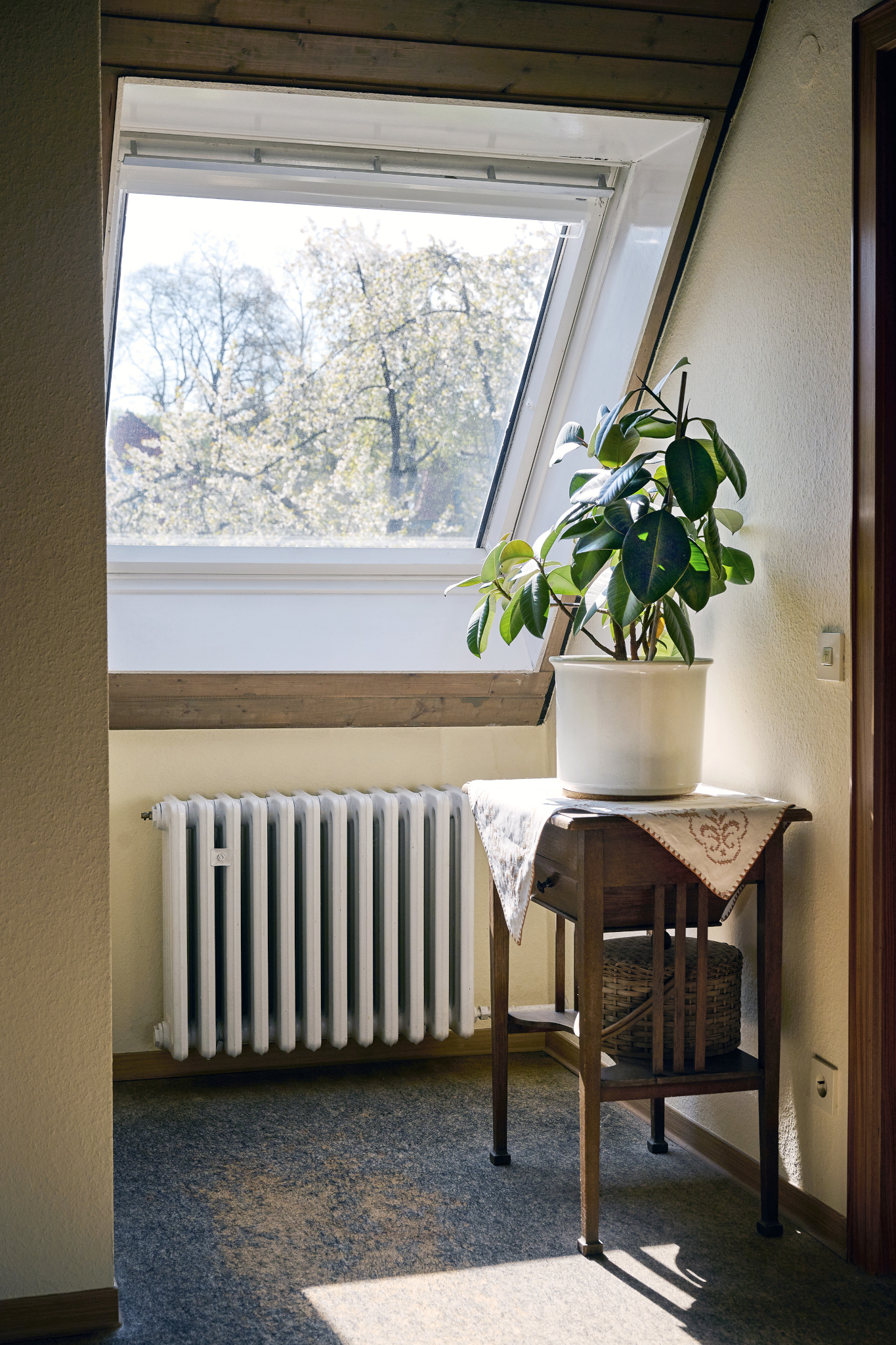 Fotografie von Katrin Ribbe