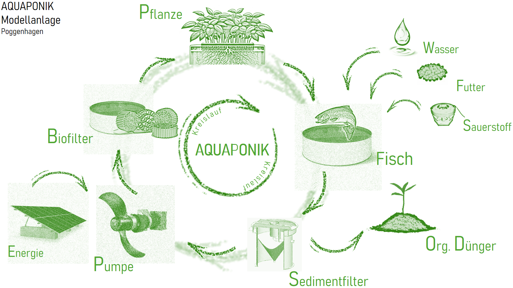 Schaubild mit den Stoffkreisläufen in einer aquaponischen Teichwirtschaft