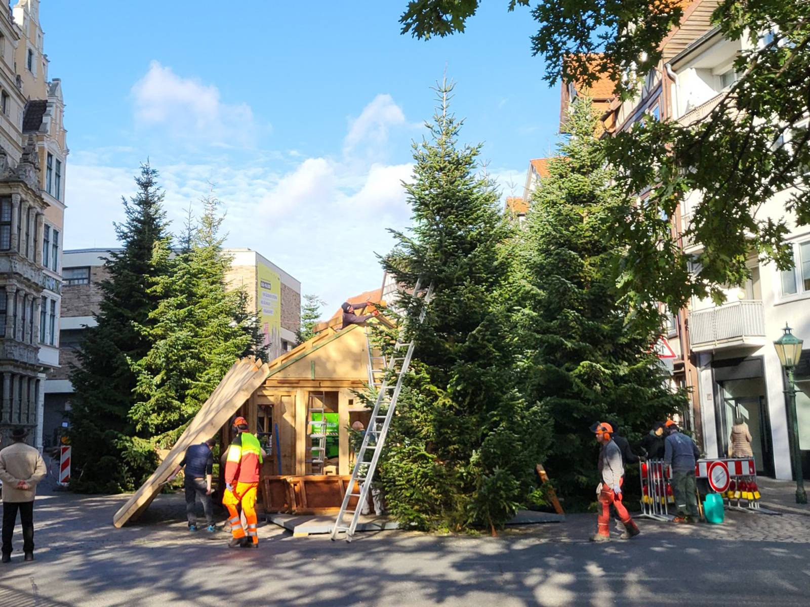 Bauarbeiter errichten einen Wald aus abgeholzten Fichten auf dem Holzmarkt in Hannover.