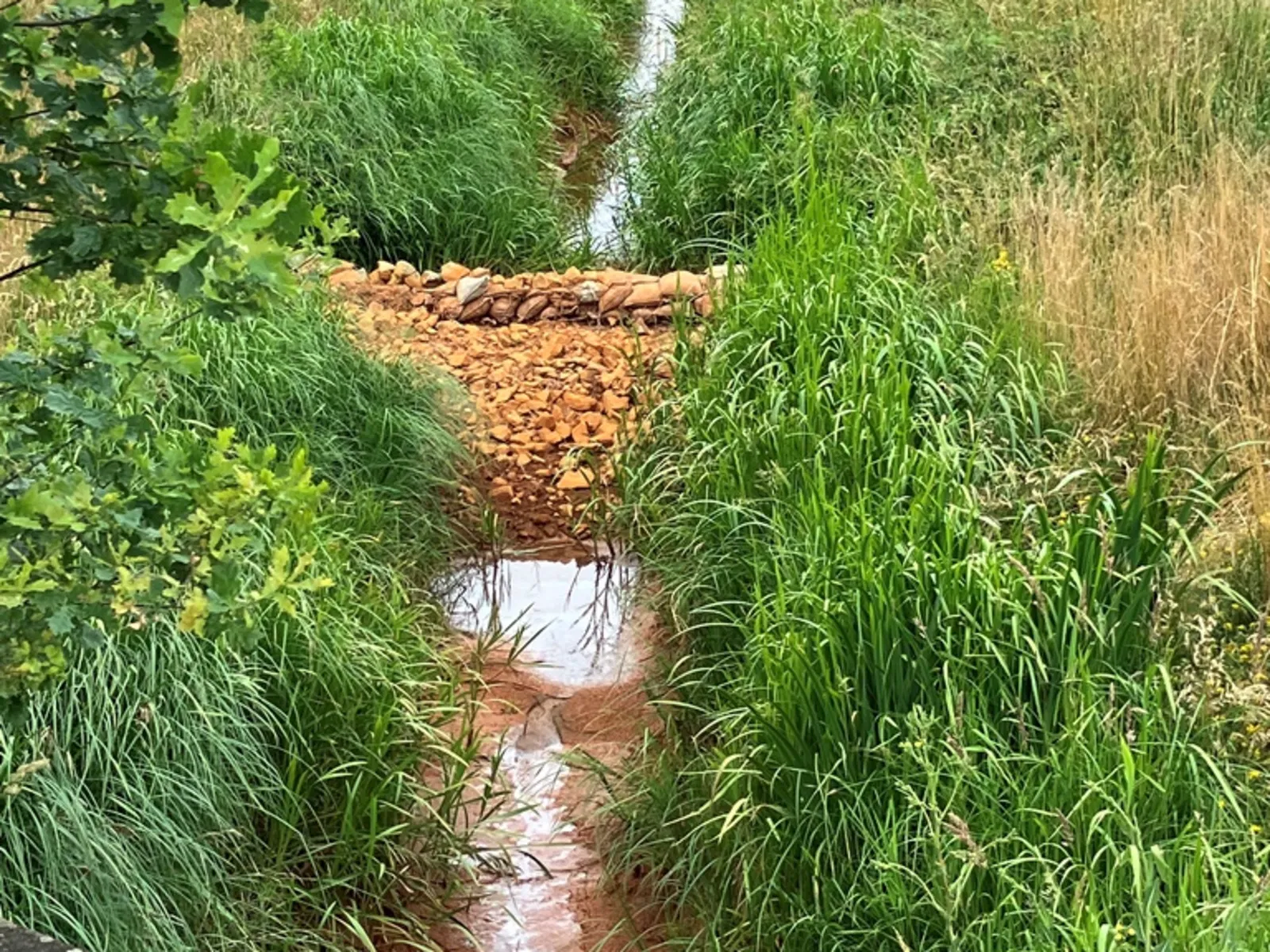Graben mit gestautem Wasserlauf