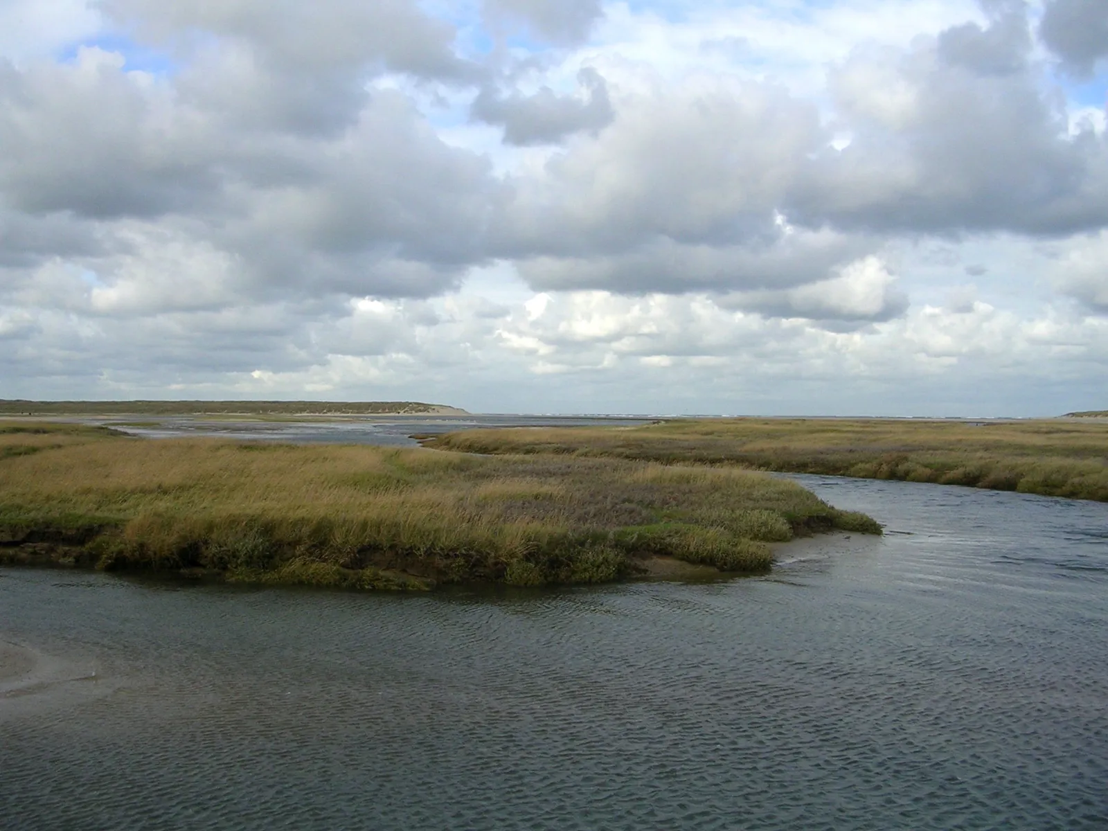 Salzwiese