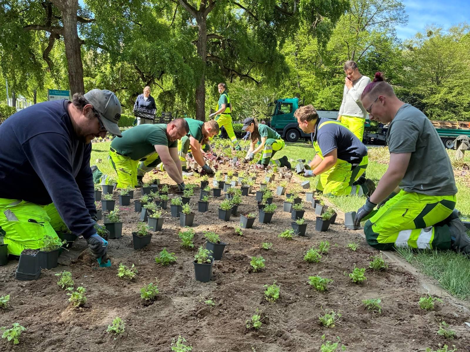 Städtische Mitarbeiter*innen beim Bepflanzen eines großen Beets.