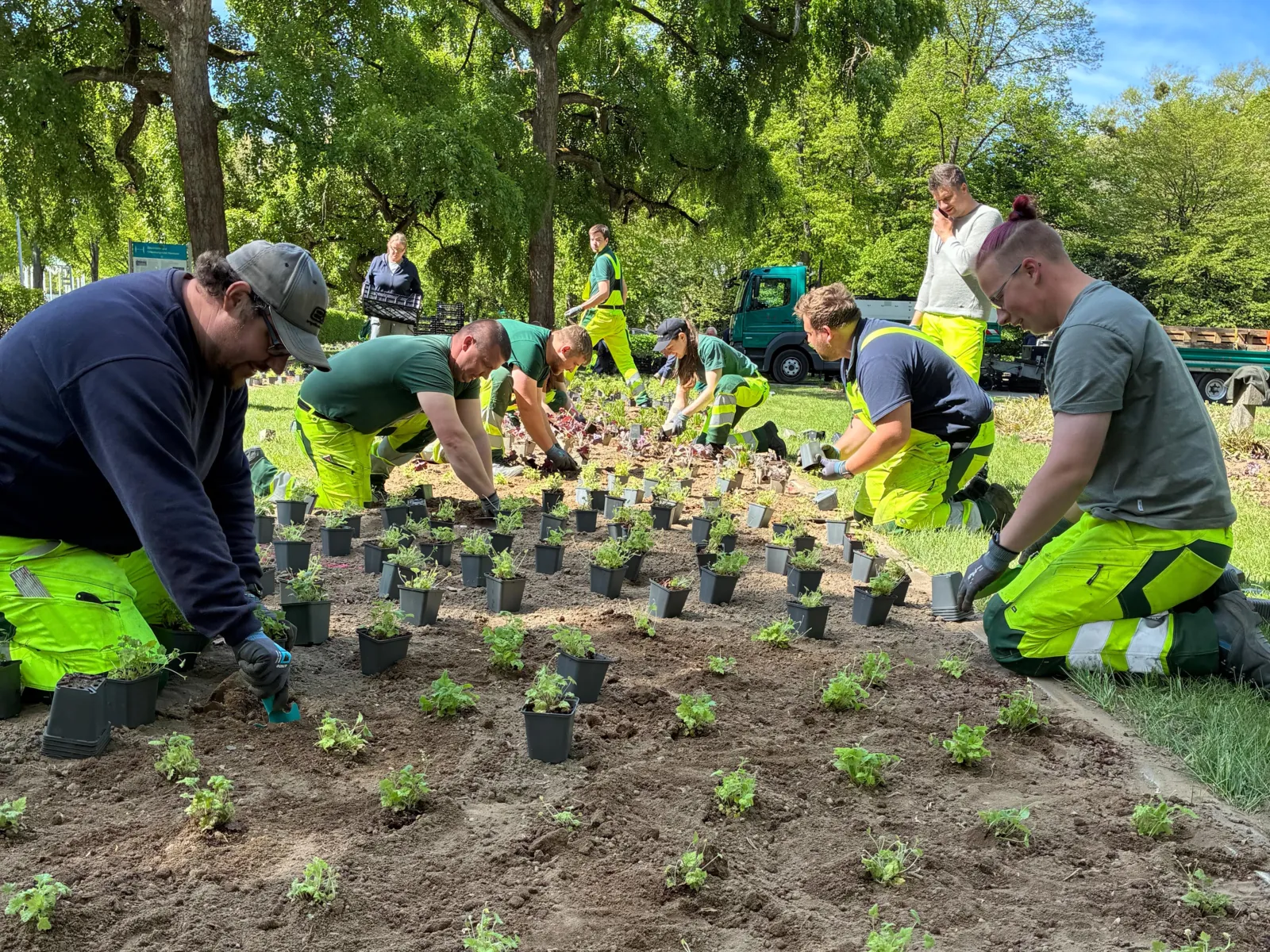 Städtische Mitarbeiter*innen beim Bepflanzen eines großen Beets.