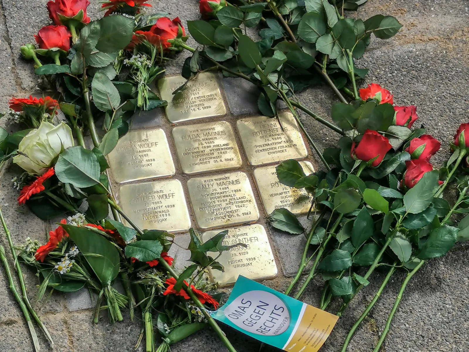Stolpersteine. Drumherum Rosen.