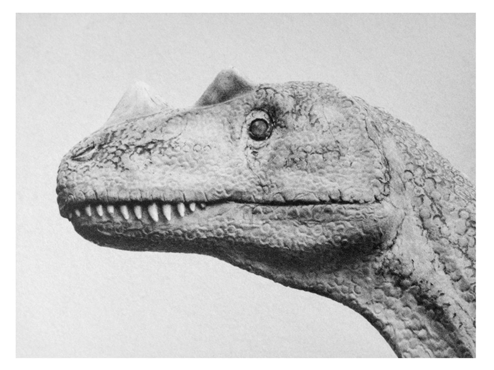 Dinosaurier, Silbergelatine, 5 × 7 cm, 2021, © Christian Retschlag