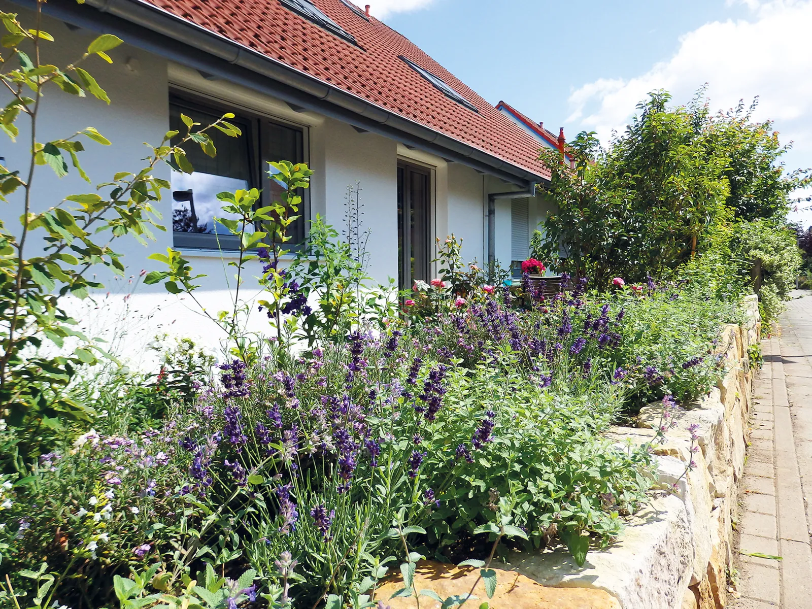 Ein Garten vor einem Haus.
