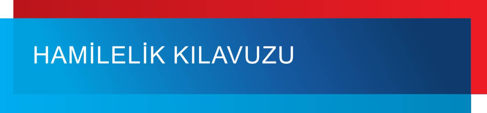 Grafisches Modul in den Farben Blau und Rot, dazu der Text: "HAMILELIK KILAVUZU".
