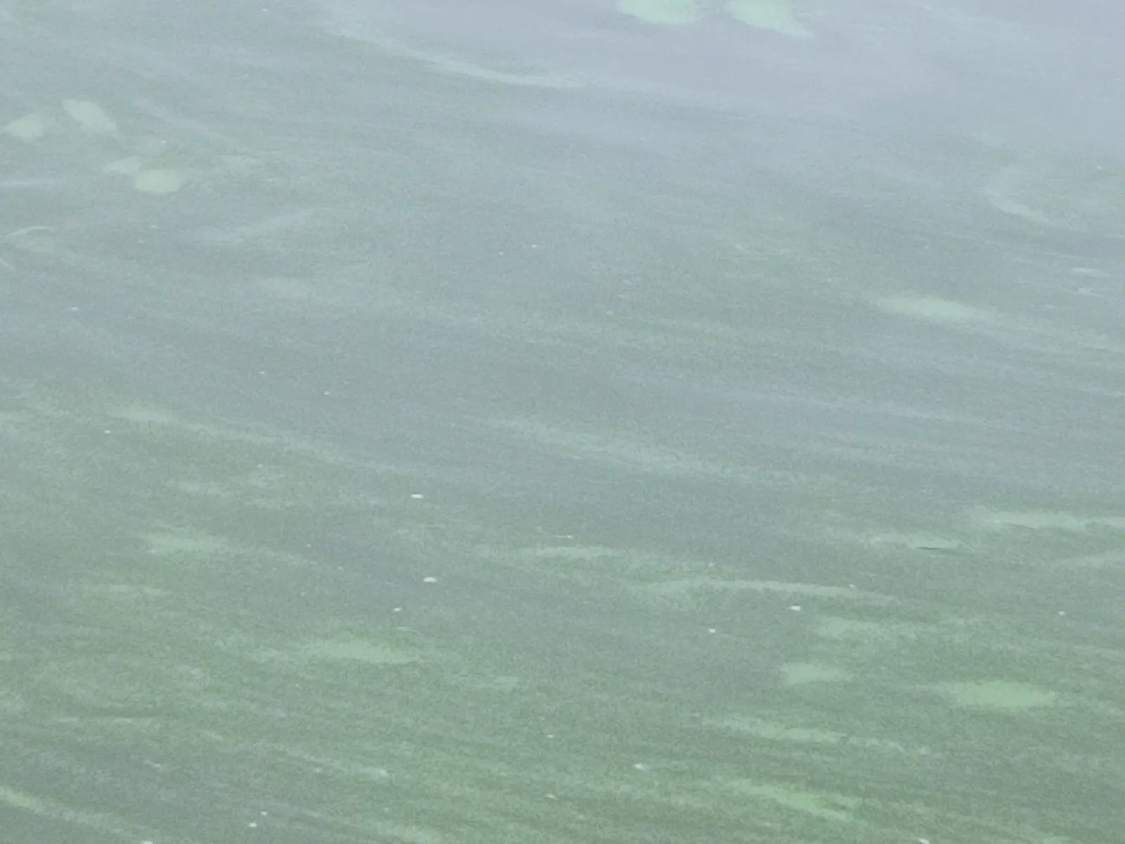 Schlieren auf dem Wasser: Was ist das?