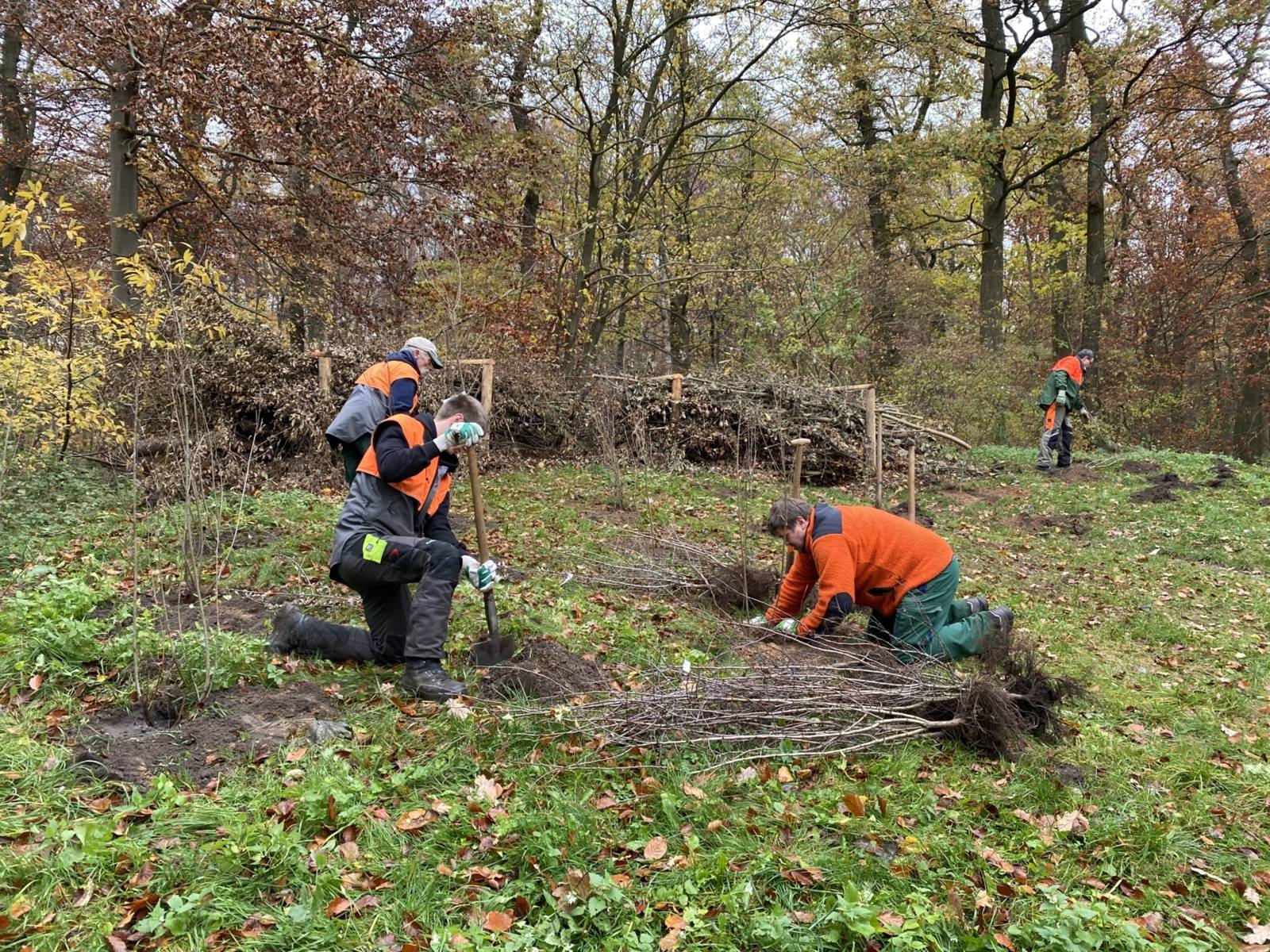 Vier Personen bei Pflanzarbeiten im Wald.