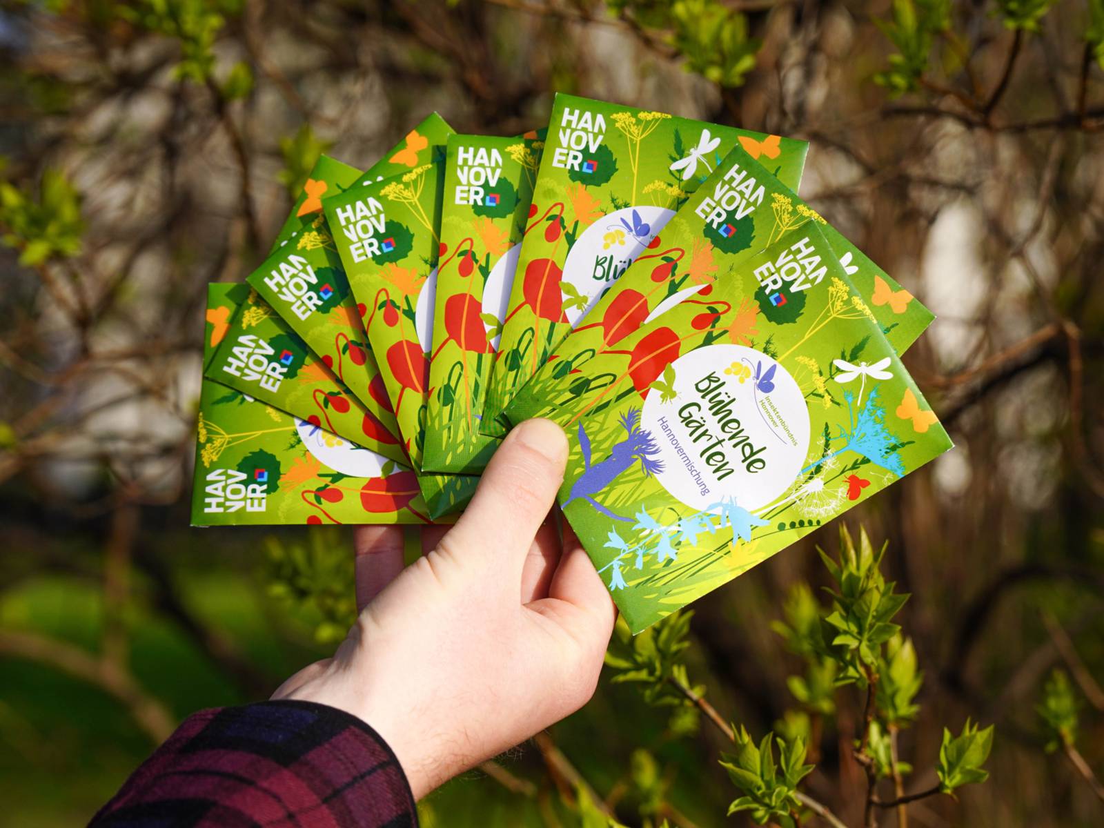 Eine Hand voller Saatguttütchen.