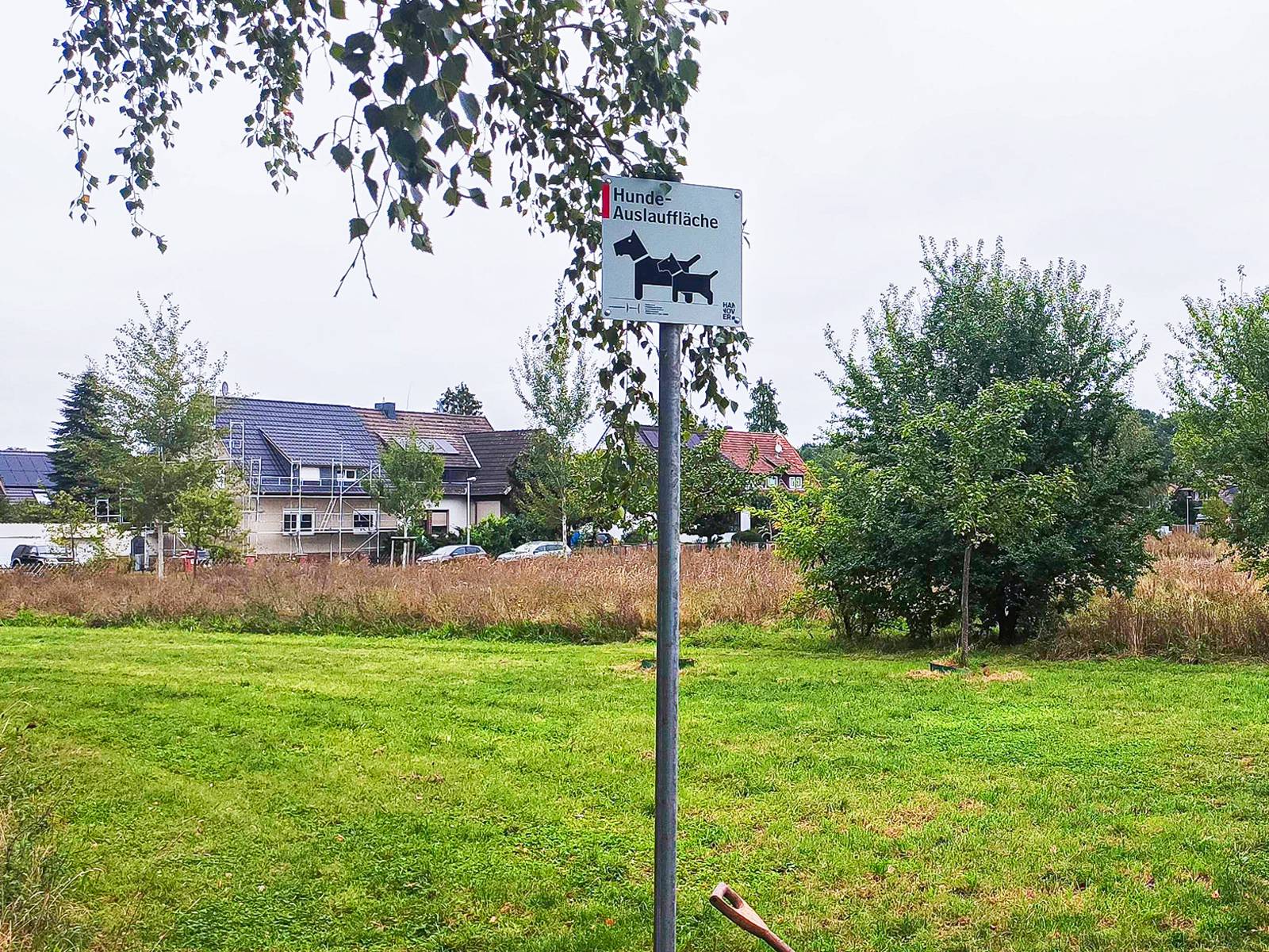 Eine Hundeauslauffläche. Im Hintergrund Häuser.