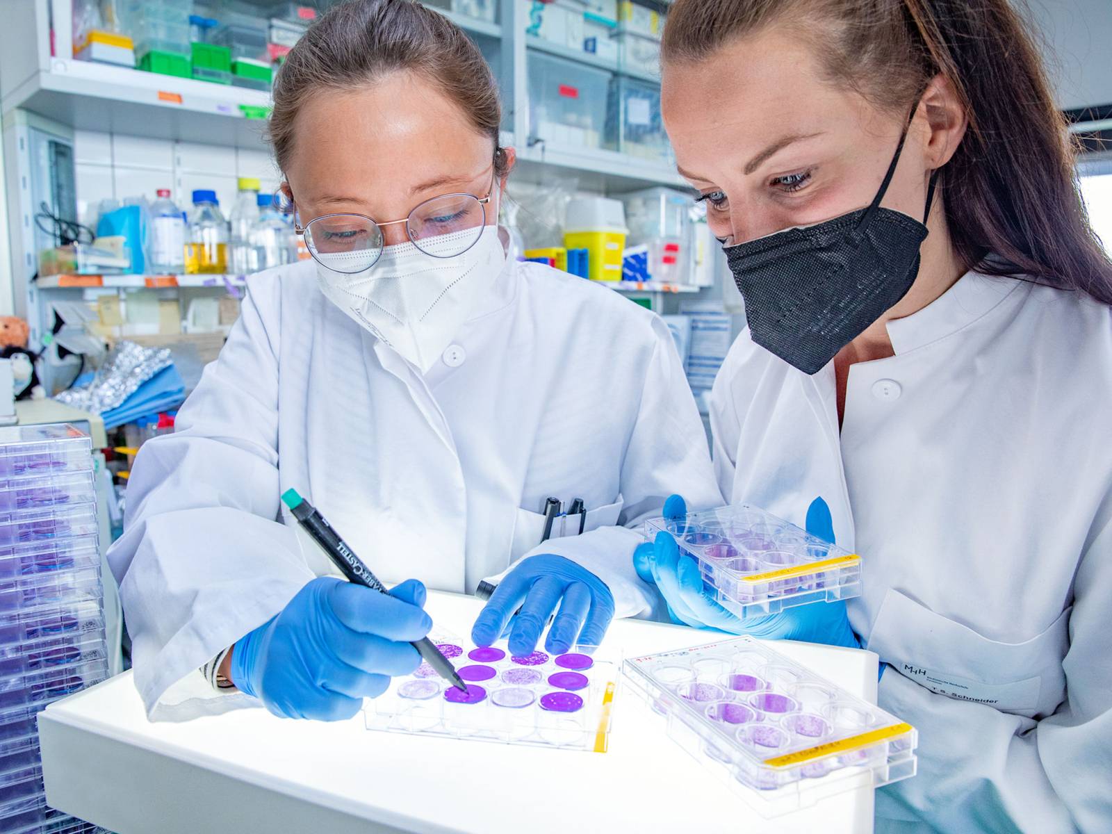 Zwei Frauen mit weißenKitteln und Nasen-Mundschutz-Masken in einem medizinischen Labor bei der Arbeit mit Zellkulturplatten.
