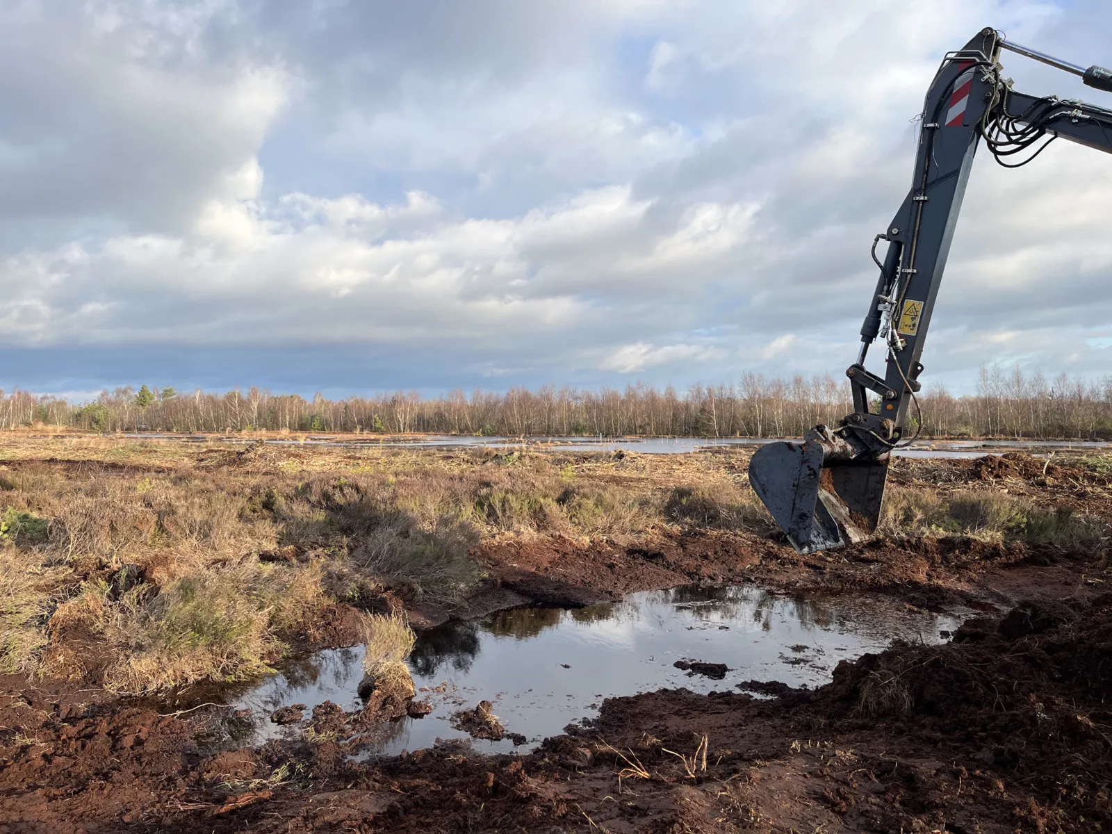 Bagger, der an einer Stelle im Moor Material aushebt