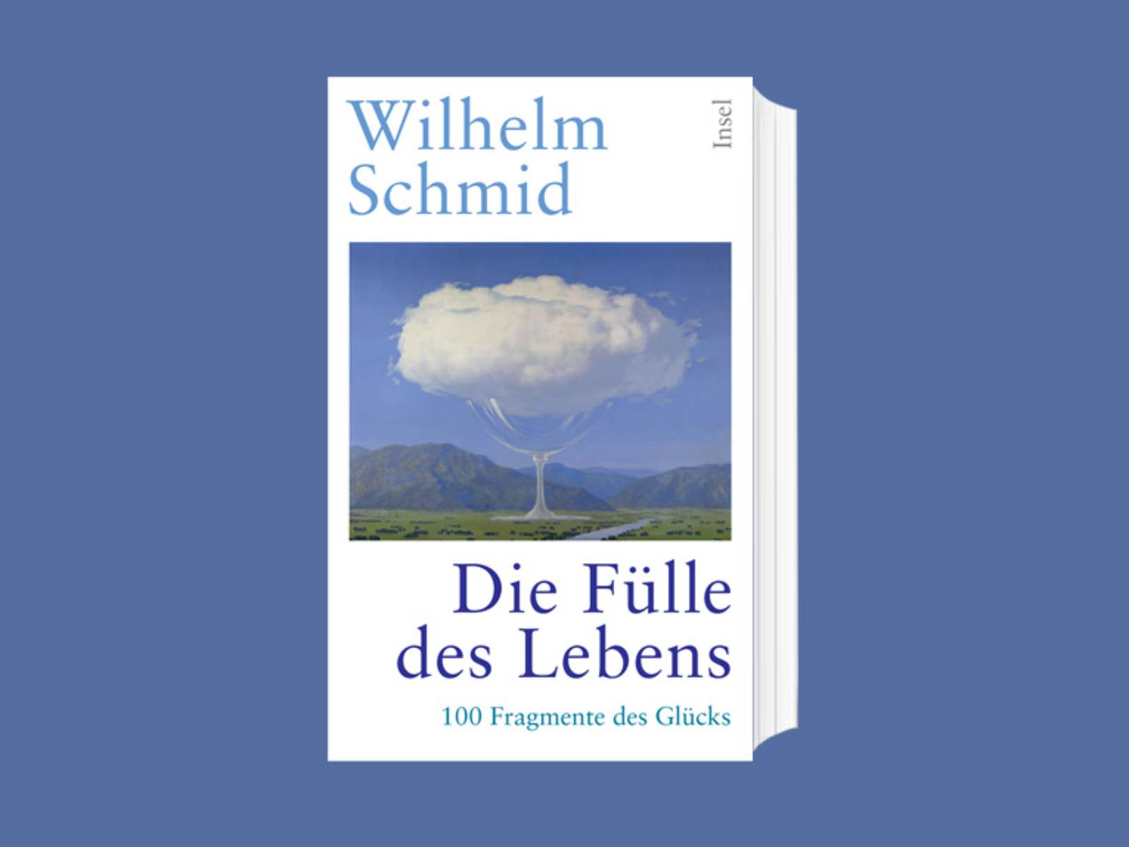 Das Cover zum Buch „Die Fülle des Lebens“ von Wilhelm Schmid