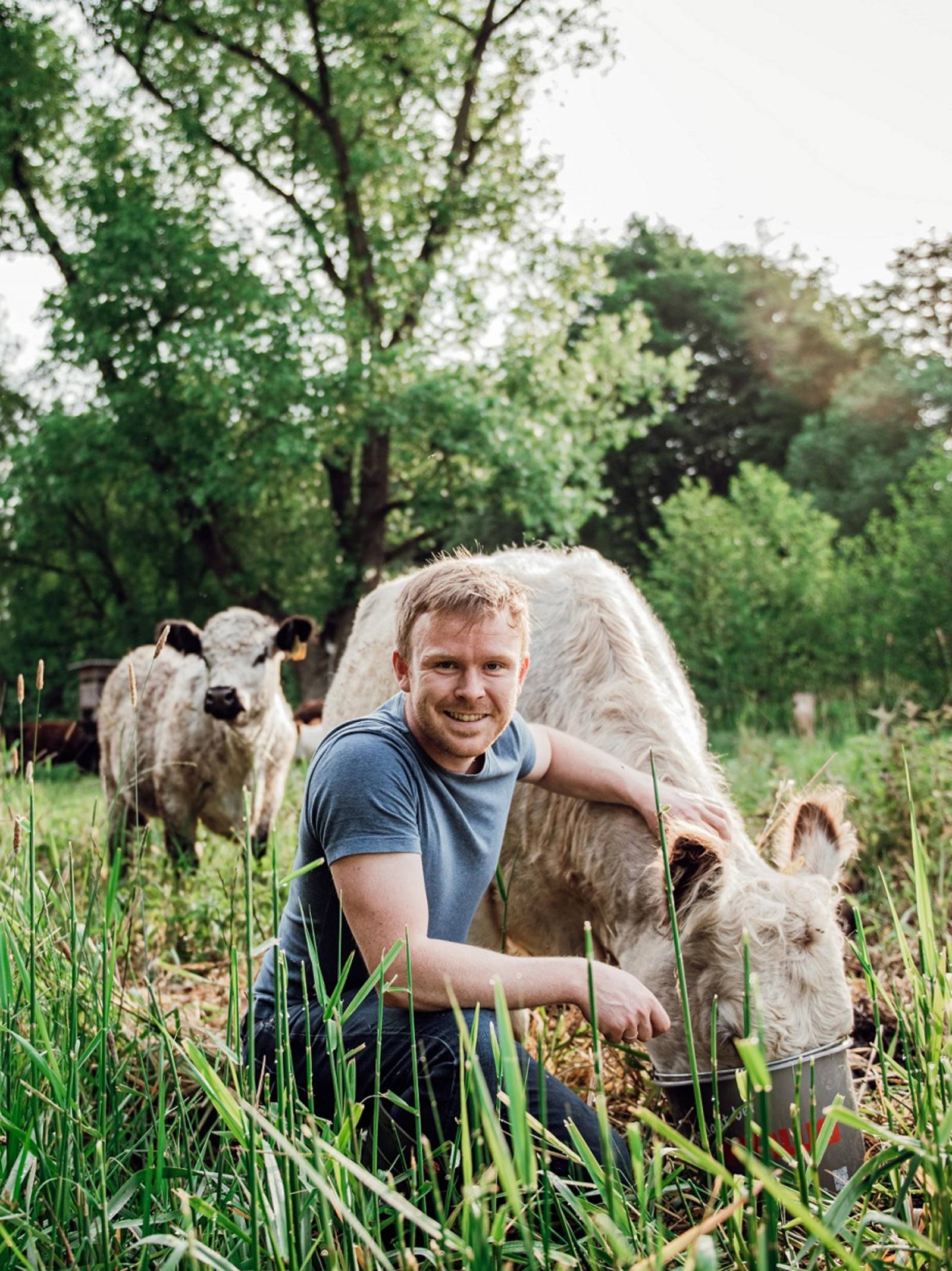 Ein Mann füttert ein Galloway aus einem Eimer, kniet dabei neben dem Tier und schaut in die Kamera.