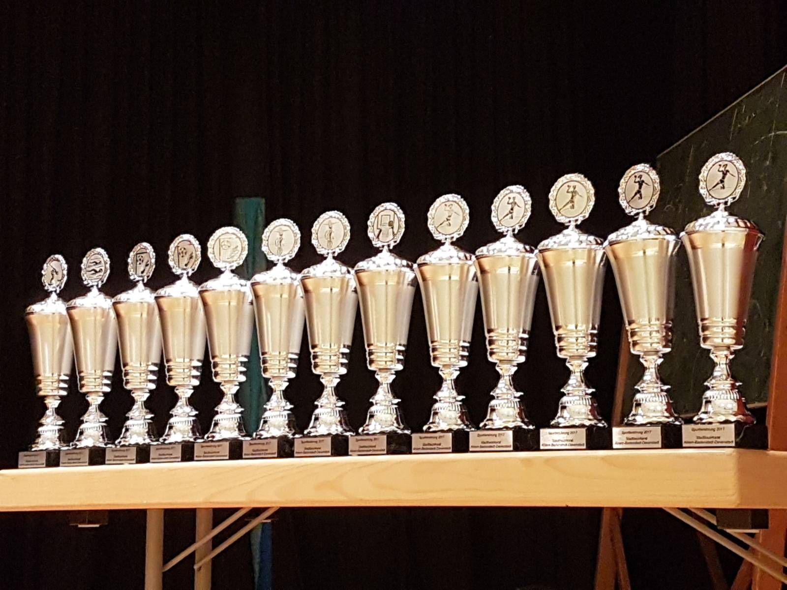Auf dem Bild sieht man 13 nebeneinander stehende Pokale