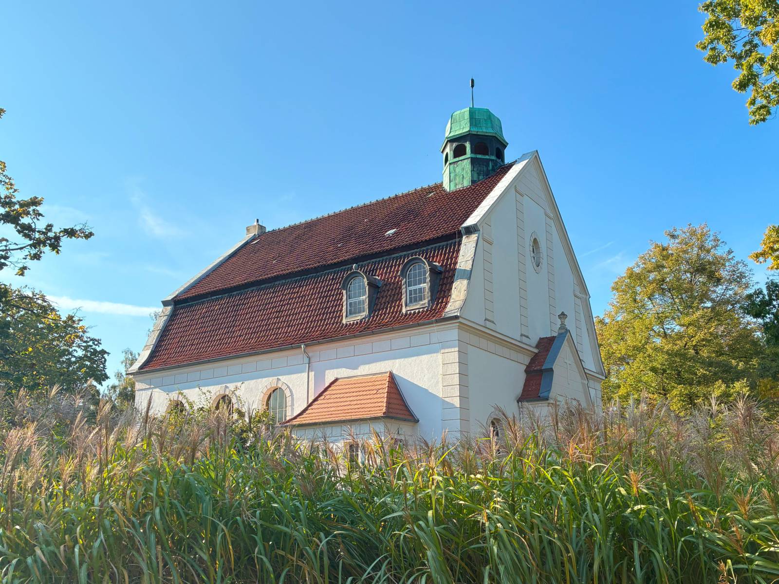 Blick auf ein Gebäude im Grünen.