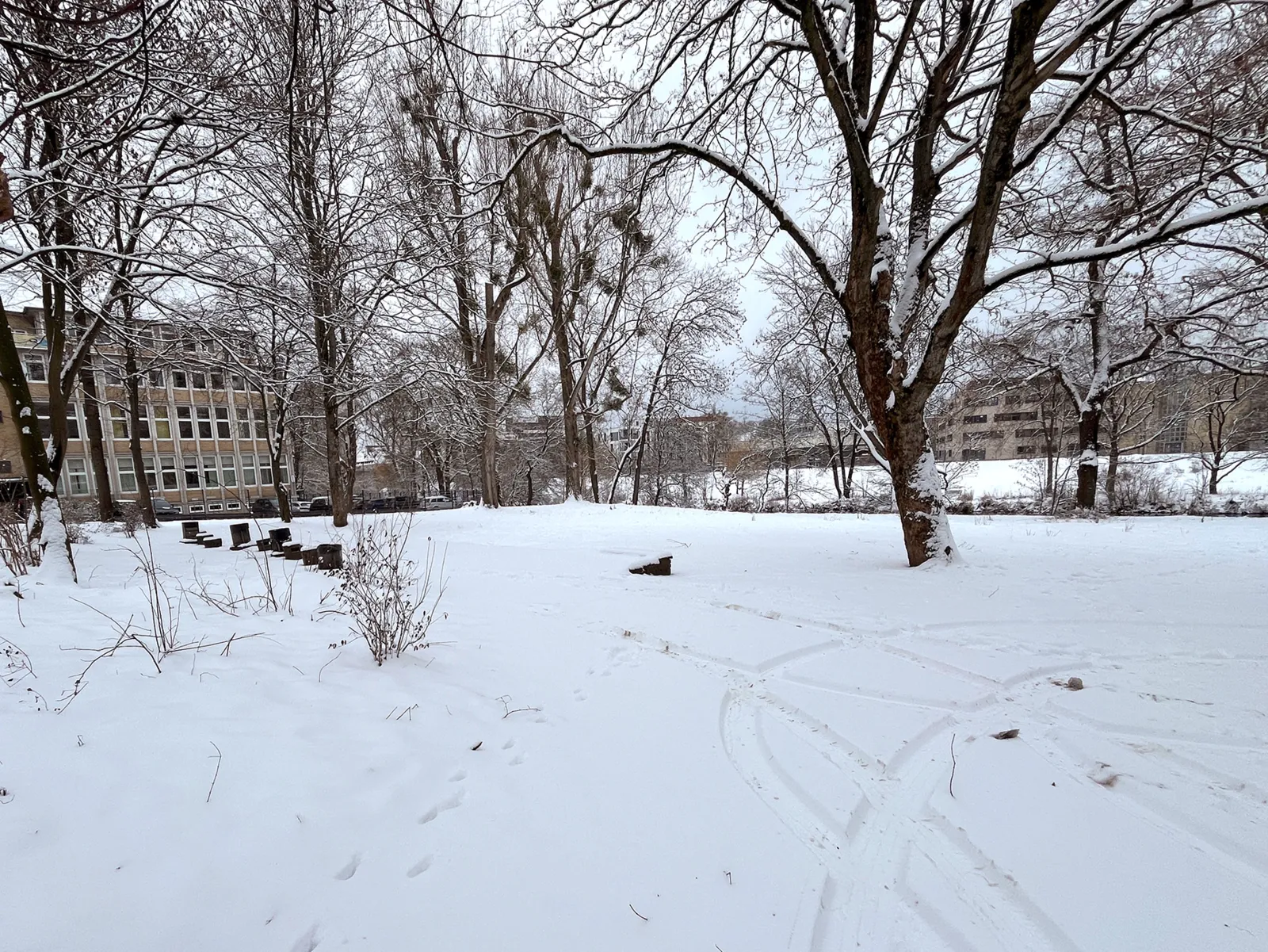 Eine Fl&auml;che mit Schnee und Reifenspuren, darauf stehen B&auml;ume und B&uuml;sche, links und rechts hinten stehen Geb&auml;ude, auf der Fl&auml;che links stehen M&uuml;lleimer und Sockel f&uuml;r B&auml;nke.