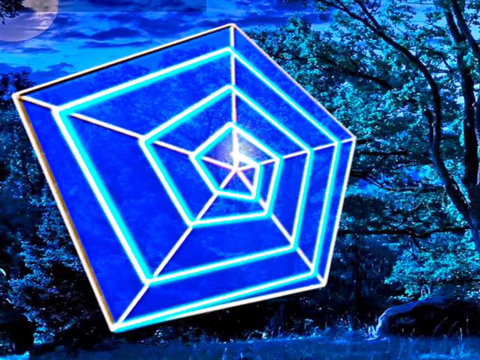 Blick auf ein Kunstwerk, das ein UV-Spinnennetz zeigt.