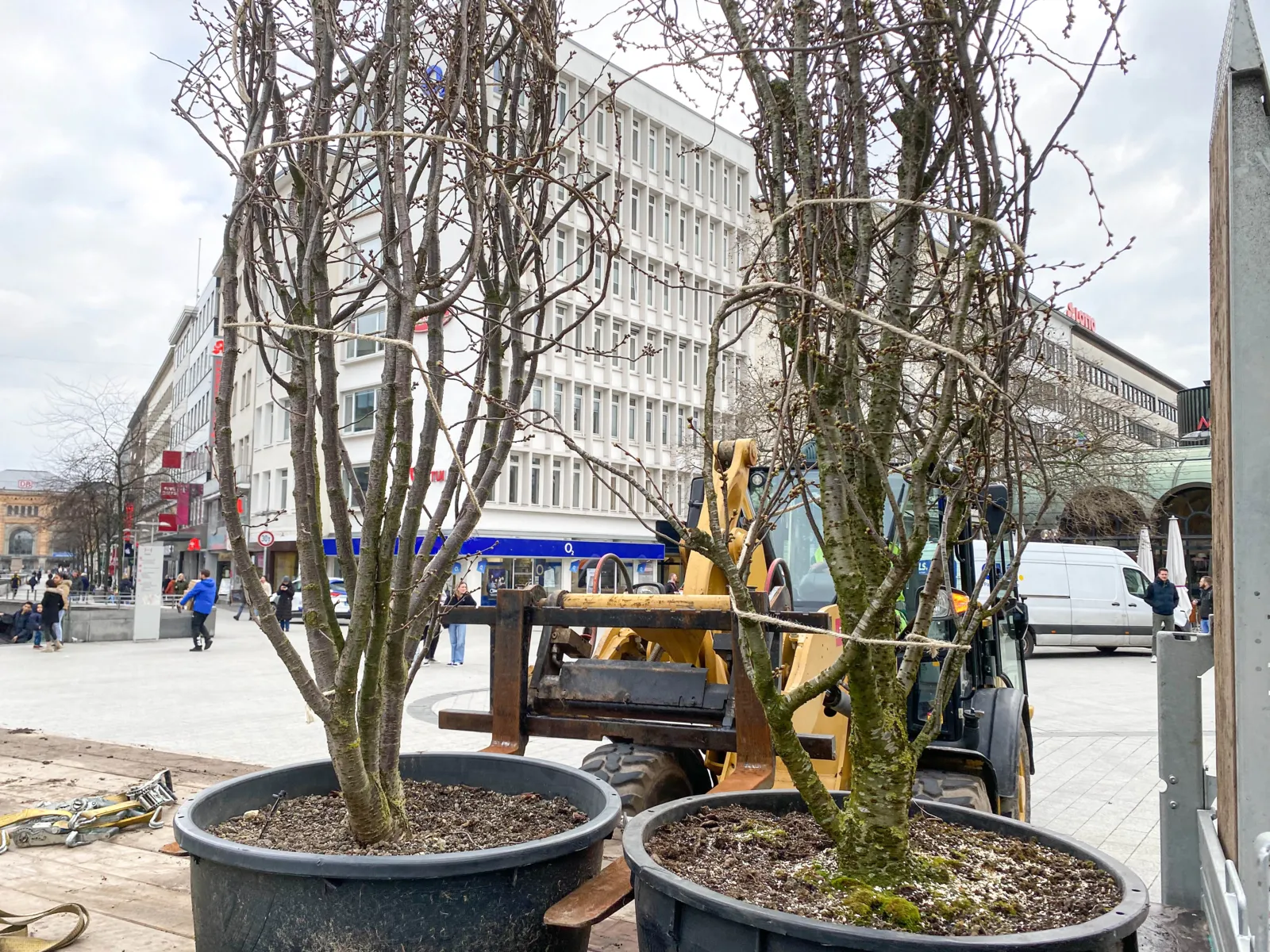 Pflanzkübel in der Innenstadt.