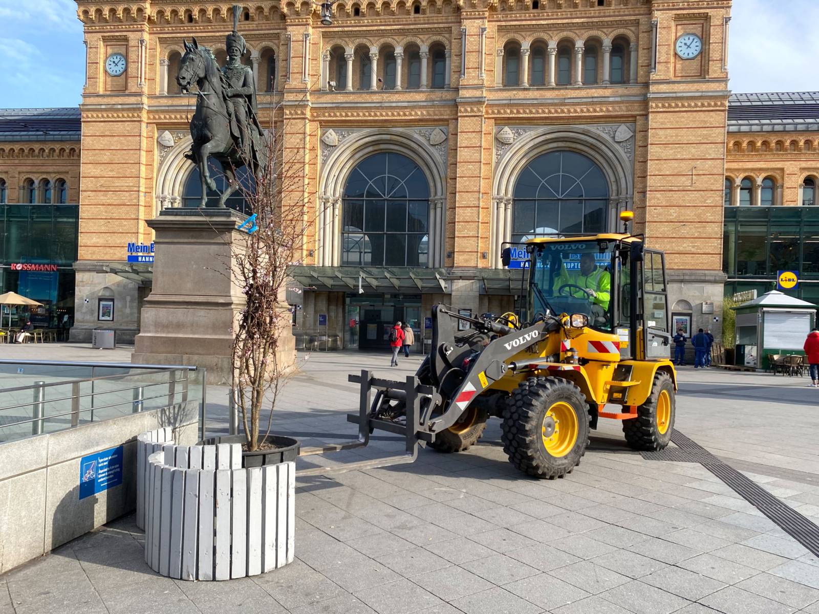 Farbe für die Innenstadt: Pflanzkübel mit Zierkirschen und Zieräpfel werden auf dem Ernst-August-Platz aufgestellt.