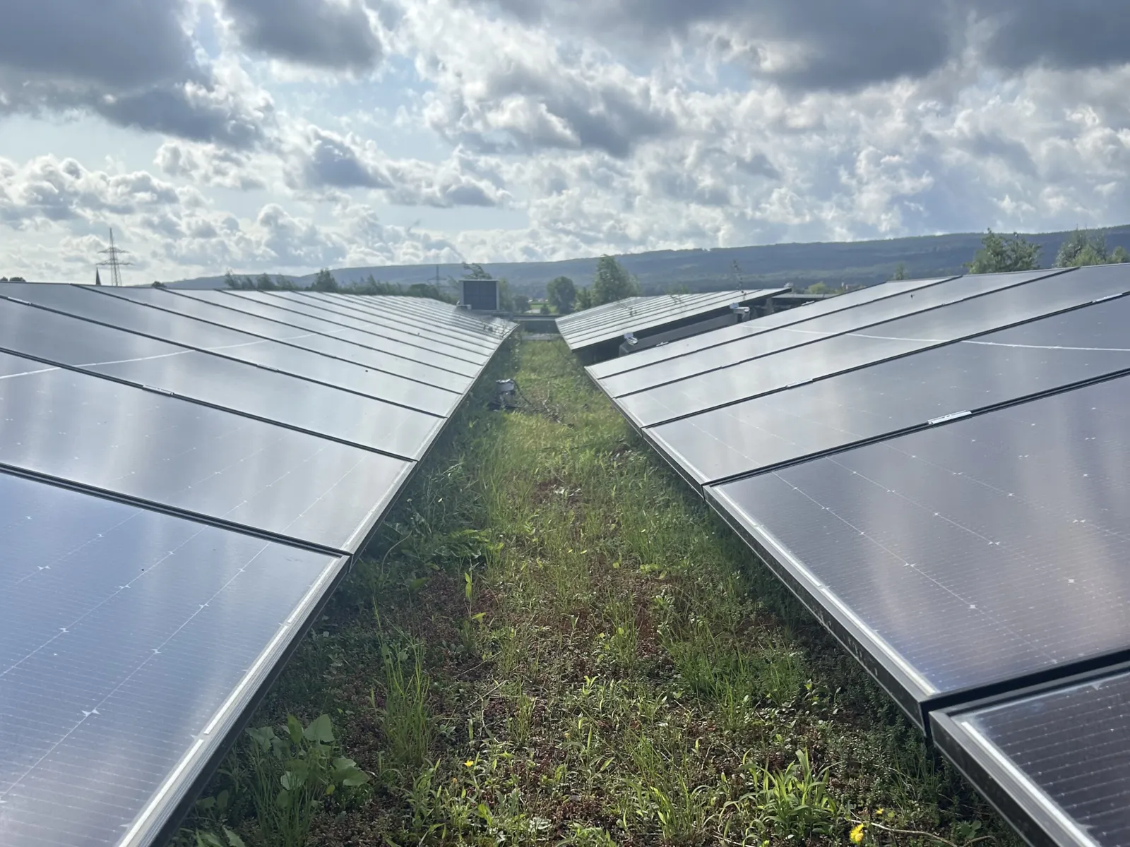 Solarpanels auf einem Gr&uuml;ndach