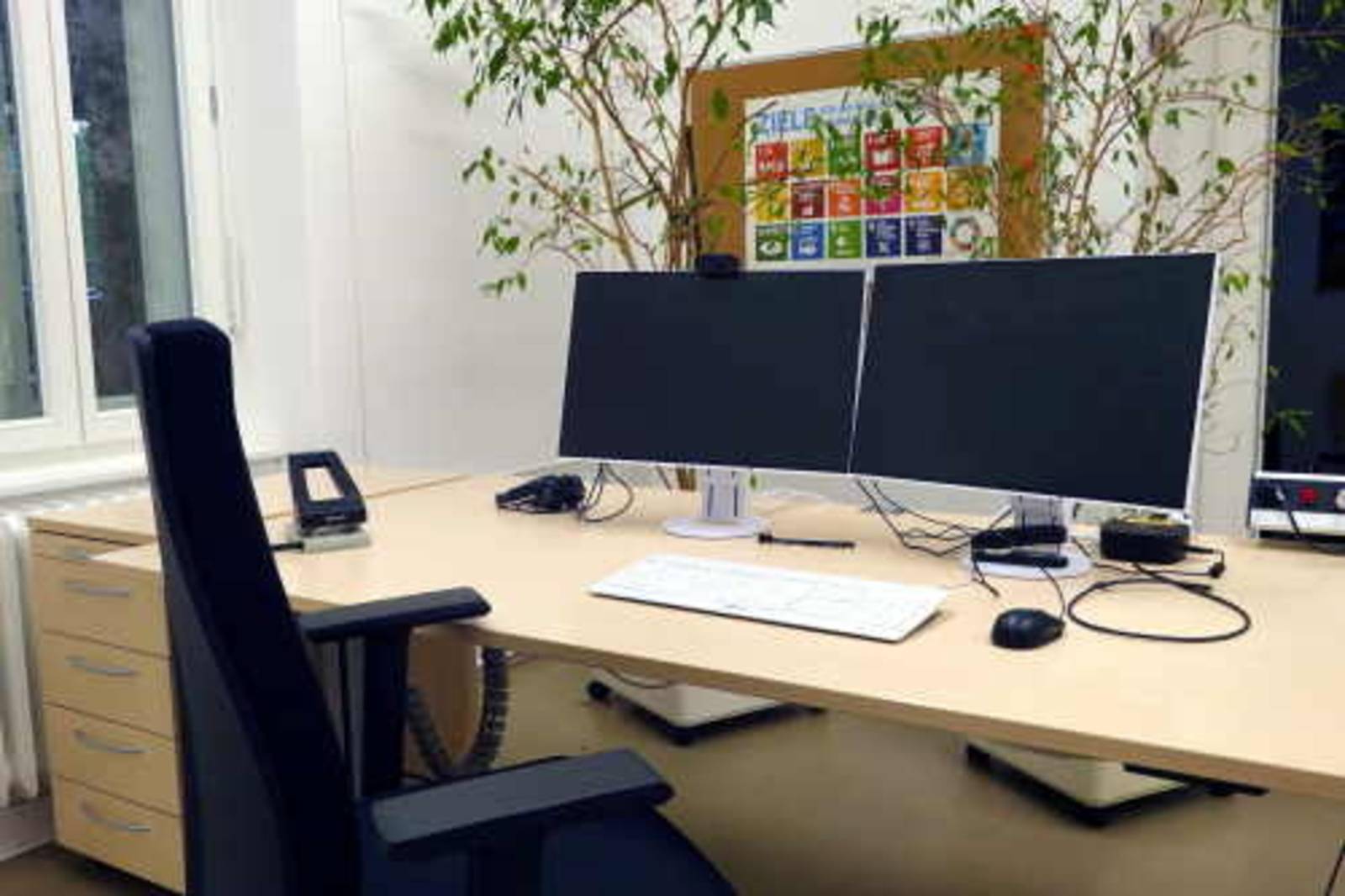 Arbeitsplatz im Nachhaltigkeitsbüro