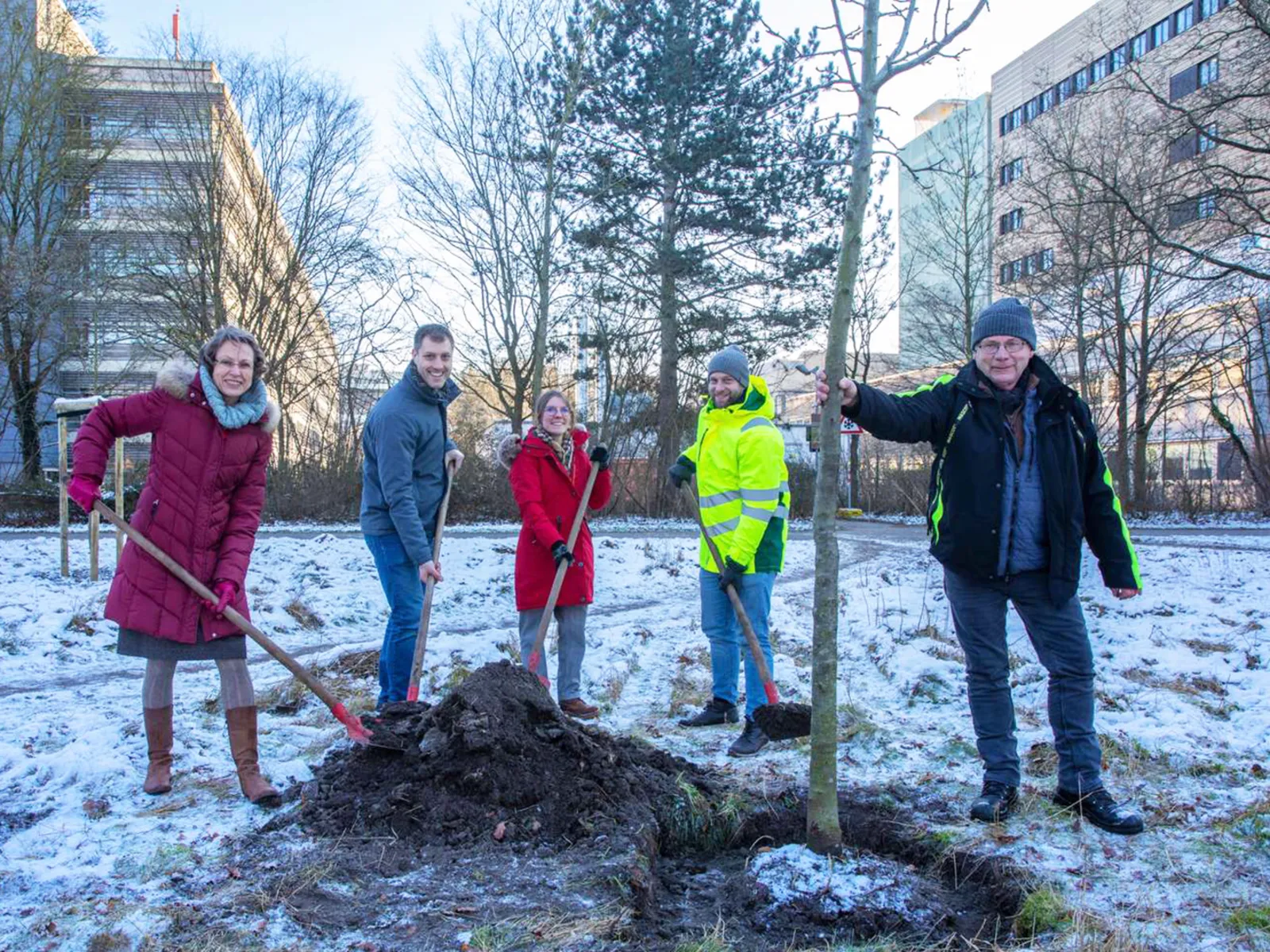 Fünf Personen beim Pflanzen eines Baumes.