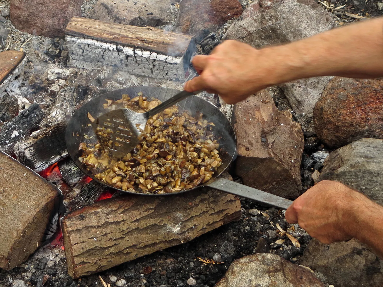 Pfanne mit Pilzen über einem Lagerfeuer.