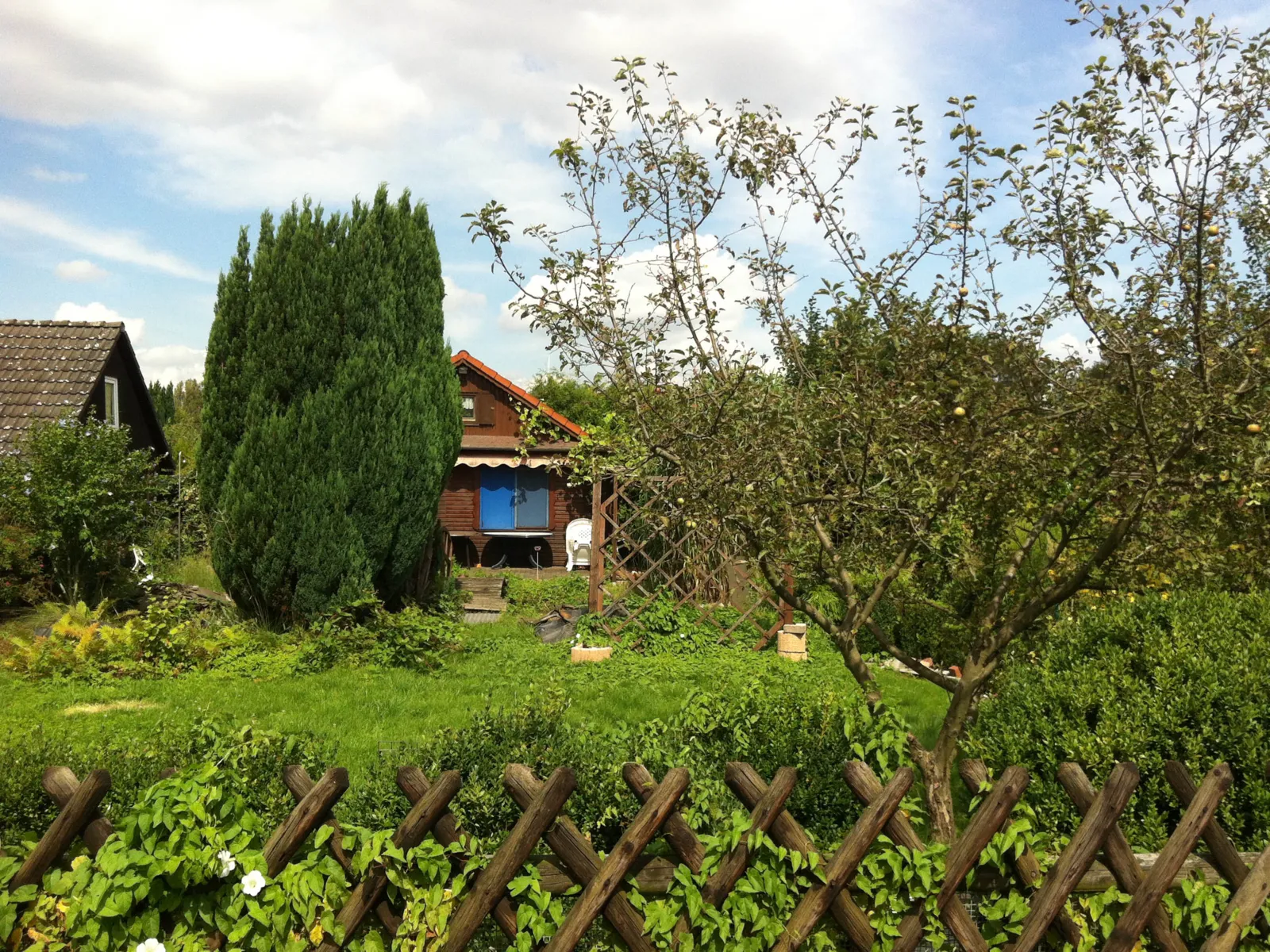 Ein Kleingarten in Hannover. Im Hintergrund steht eine Hütte, davor eine gepflegte Grünfläche.