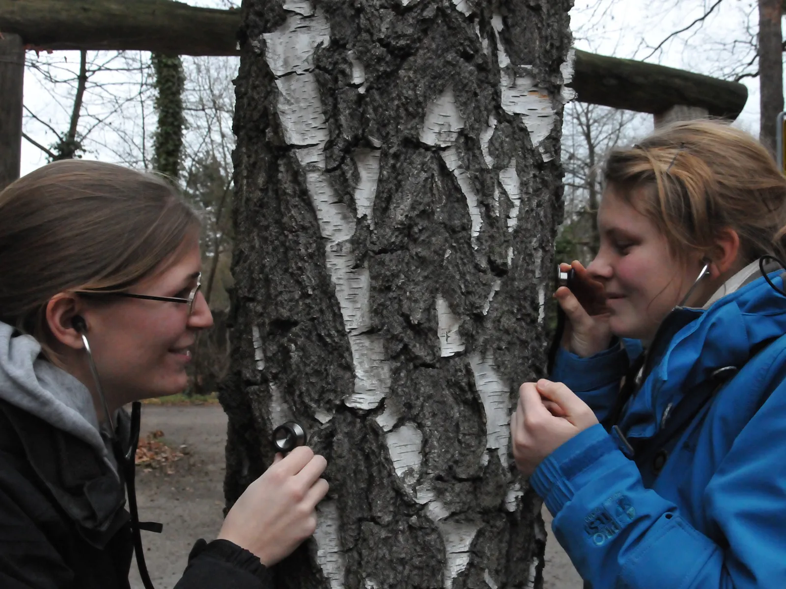 Zwei Mädchen untersuchen einen Baum