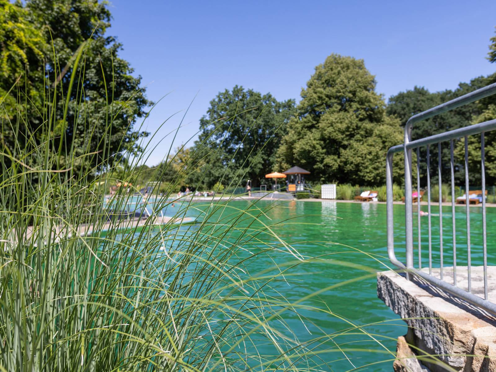 Naturfreibad Hainholz