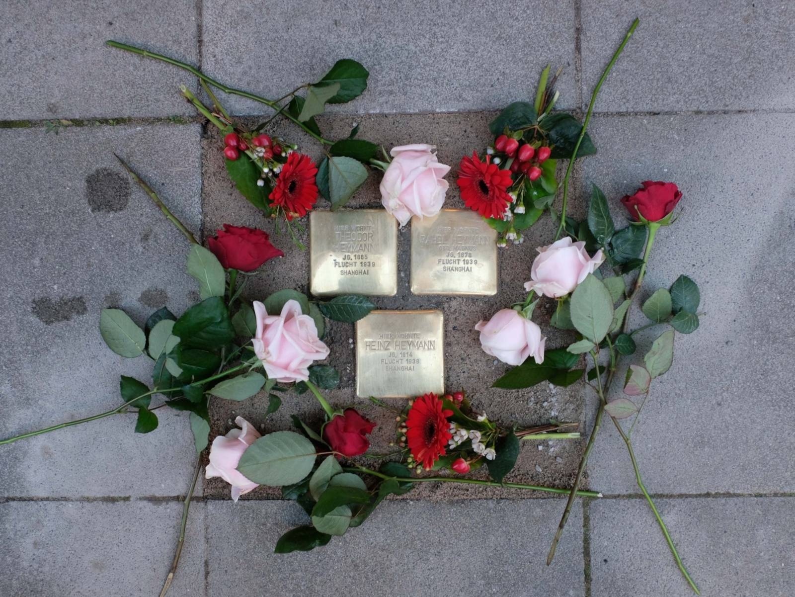 Auf dem Bild sind drei messingfarbene Quadrate zu sehen, sogenannte Stolpersteine, die jeweils mit einem Namen beschriftet sind.