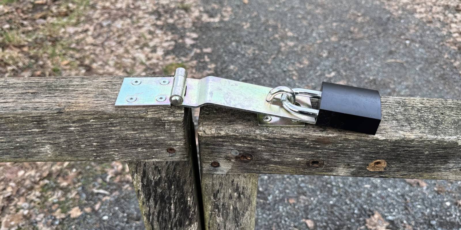 Steg mit Blick auf das Steinhuder Meer