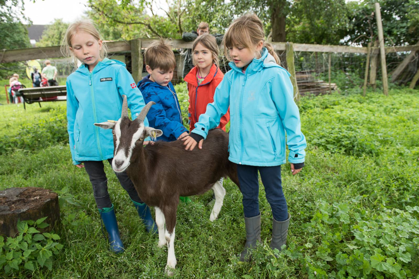 Kinder mit einer Ziege auf einem Bauernhof.