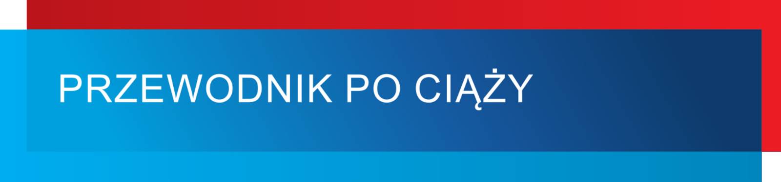 Grafisches Modul in den Farben Blau und Rot, dazu der Text: "PRZEWODNIK PO CIĄŻY".