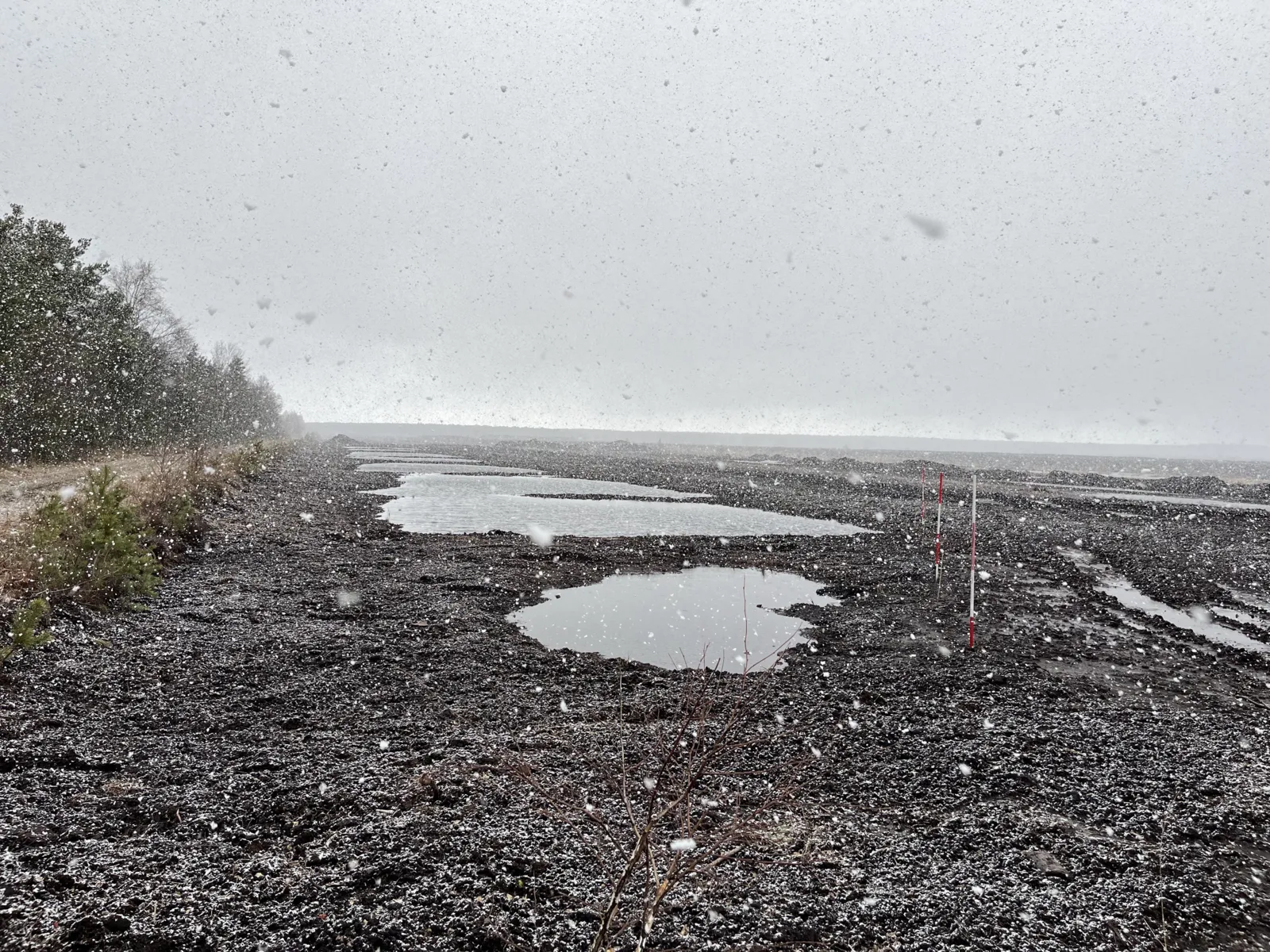 Dunkler Torf und fallender Schnee im Moor