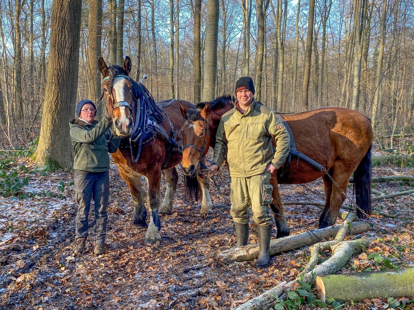 Zwei Menschen und zwei Pferde im Wald.